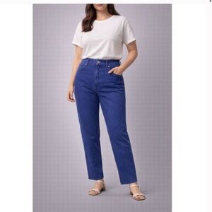 32. EVERLANE The Way High Jean Women's Straight Leg Blue